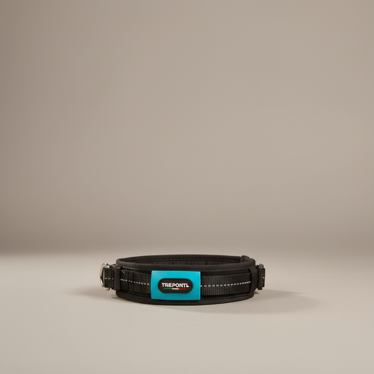 Lupiora TRE PONTI WILL Hundehalsband in Schwarz mit türkisfarbenem Logo-Detail und reflektierenden Elementen