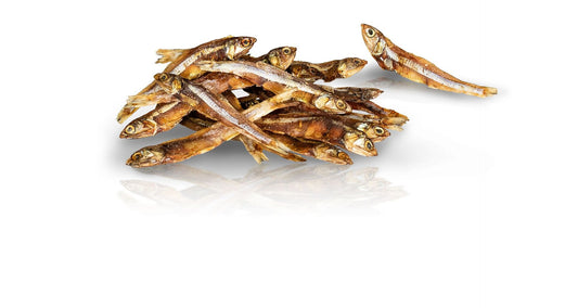 Getrocketer Sunfish, 250g