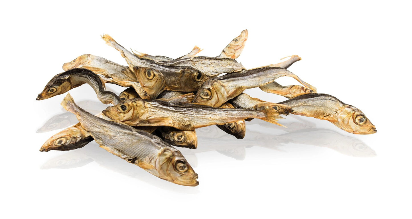 KIDDOG SUPER PREMIUM gefriergetrocknete Sproten, Made in Europe, 100 g