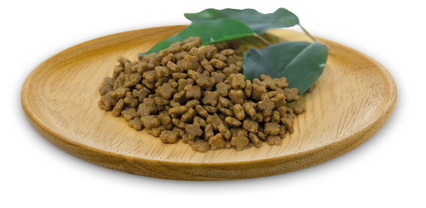 NATURAL GREATNESS "Wild Instinct Recipe" / Ultra Premium - Kätzchen/Baby - Alle Rassen