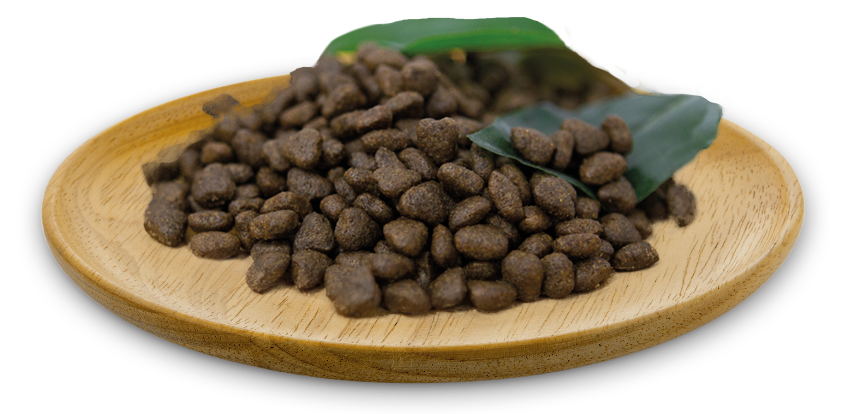 NATURAL GREATNESS Lachs Rezeptur- Sensitive / Ultra Premium - Erwachsene - kleine Rassen