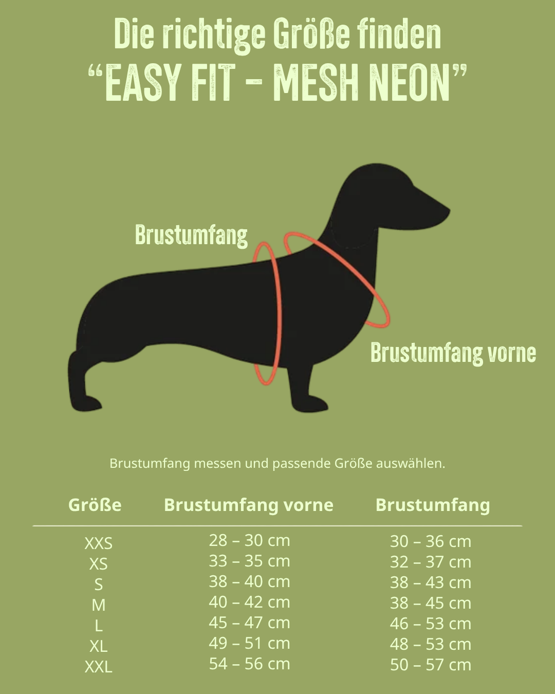 Größentabelle für TRE PONTI Easy Fit – Verstellbarer Riemen, "MESH NEON"