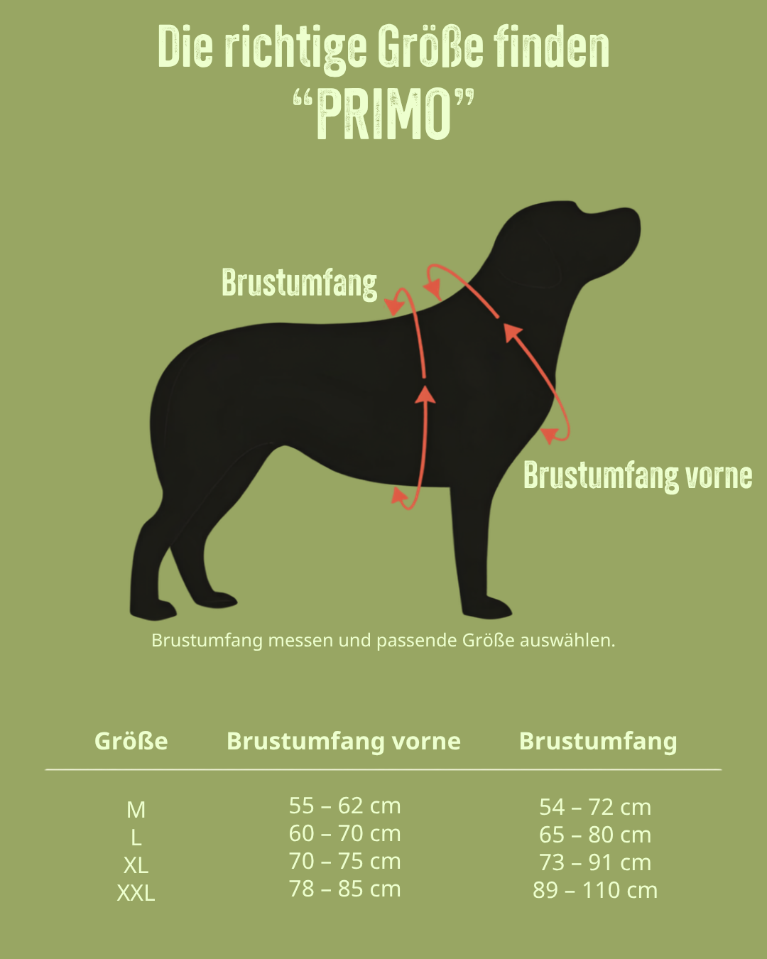 Größentabelle für TRE PONTI "Primo" – Verstellbarer Riemen