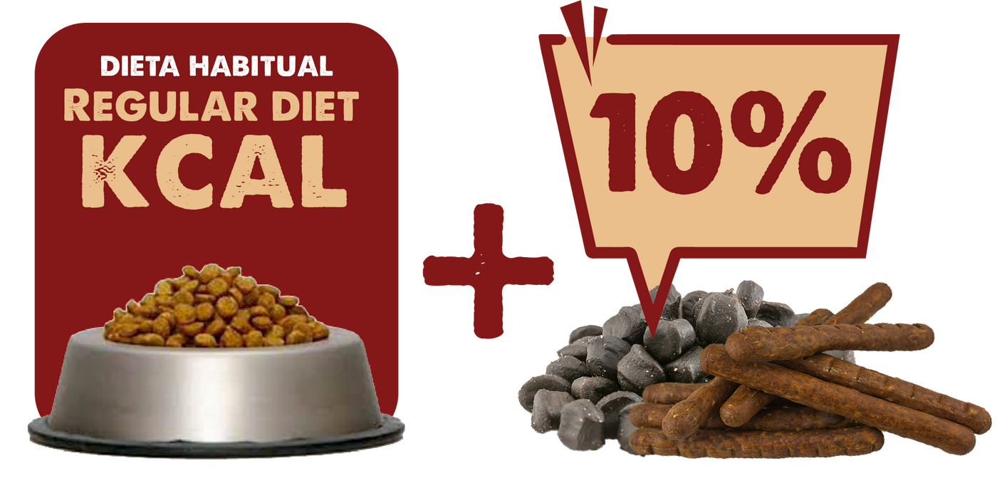 Fütterungsempfehlung für NATURAL GREATNESS Schweinedarm, 100% Fleisch