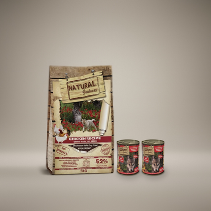 Welpe Probierpaket