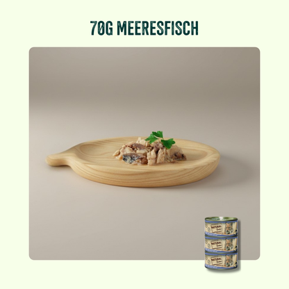 Filet-Toppings Probierpaket Katze