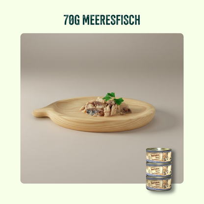 Kastrierte & Senior Katze Probierpaket
