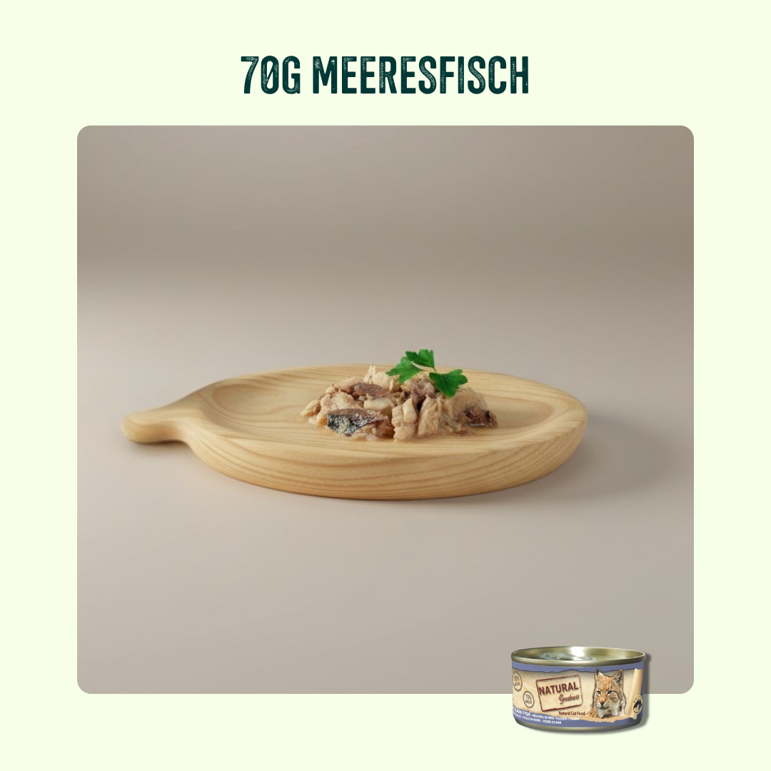 Bestseller Probierpaket Katze