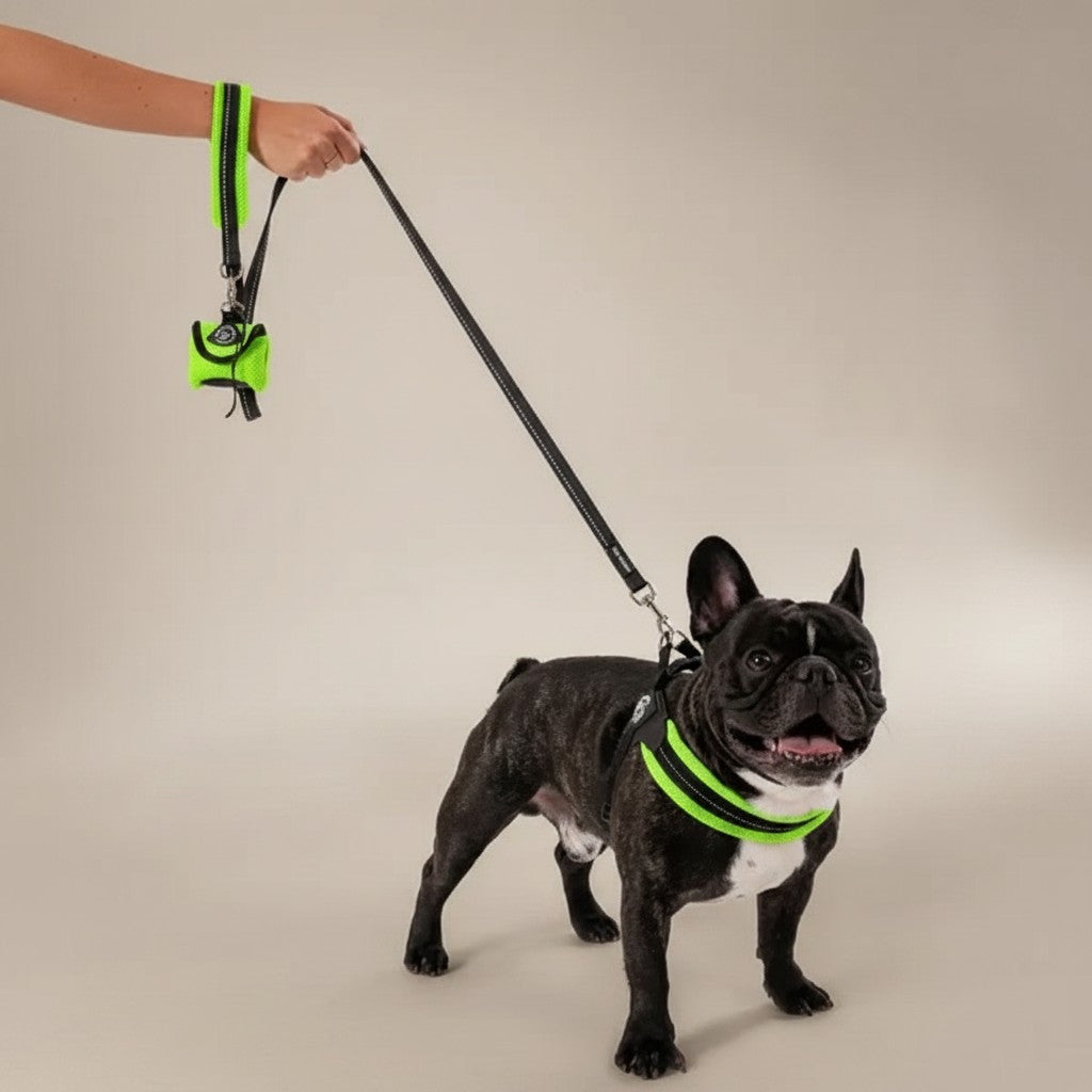 Lupiora Tre Ponti Mesh Hundeleine in Schwarz und Neon-Grün mit reflektierenden Details und passendem Kotbeutelspender