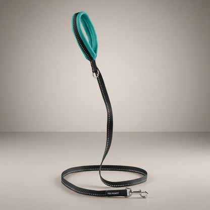 Lupiora Tre Ponti Mesh Hundeleine in Schwarz mit türkisem Netzgriff, reflektierendem Band und Metallkarabiner