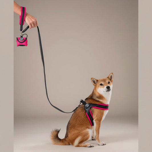Lupiora Tre Ponti Mesh-Leine in Schwarz mit pinkem Netzgriff und reflektierendem Band an einem Shiba Inu