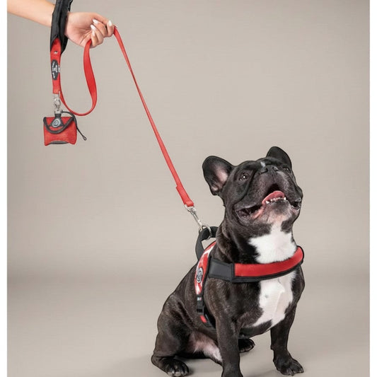 Lupiora TRE PONTI Kurzführer Leine in Rot mit gepolstertem Griff an einer Französischen Bulldogge mit passendem Geschirr